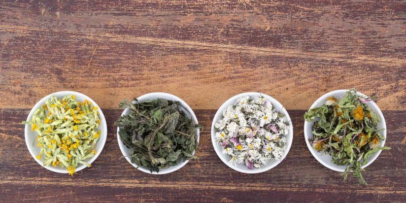 Phytotherapie in Hamburg – sanfte Behandlung durch Heilpraktikerin Bettina Zawadzki für mehr Gesundheit und Wohlbefinden